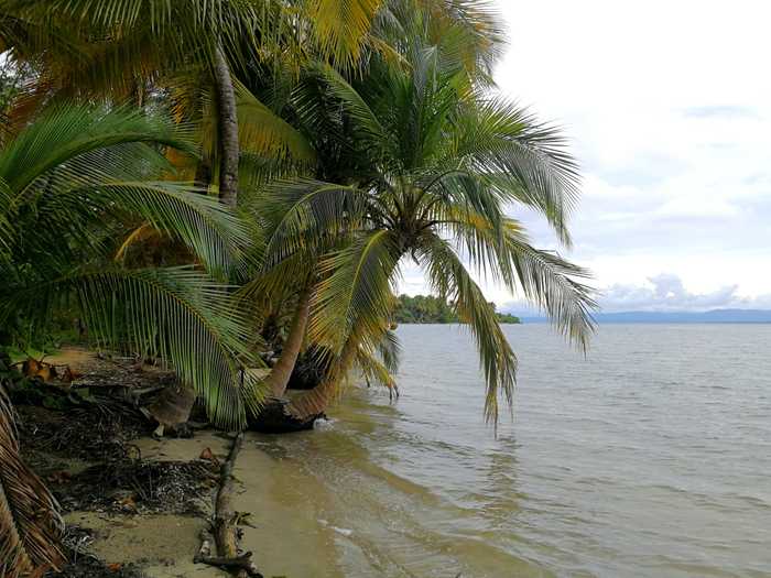 Playa estrella en Bocas del Toro